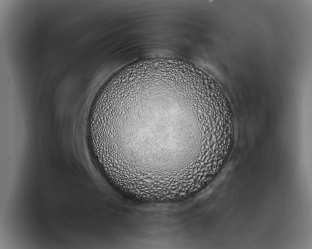 X0000094360049200711162058