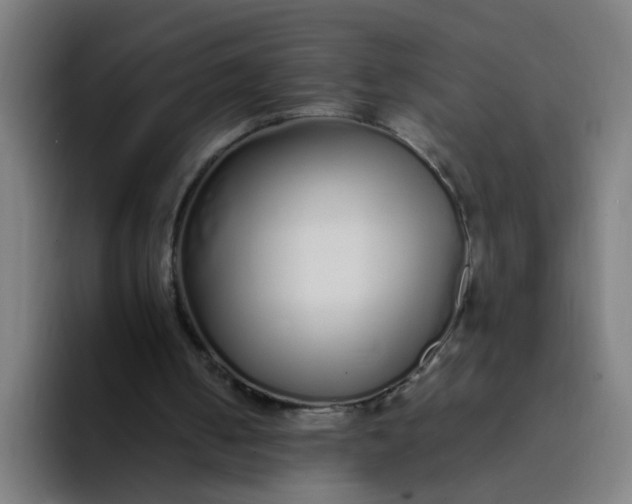 X0000094360050200711162058