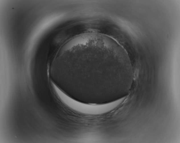 X0000094360052200711162059