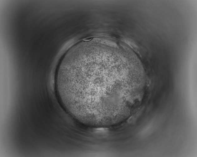 X0000094360053200711162059