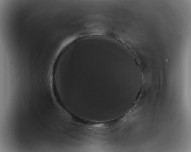 X0000094360054200711162059