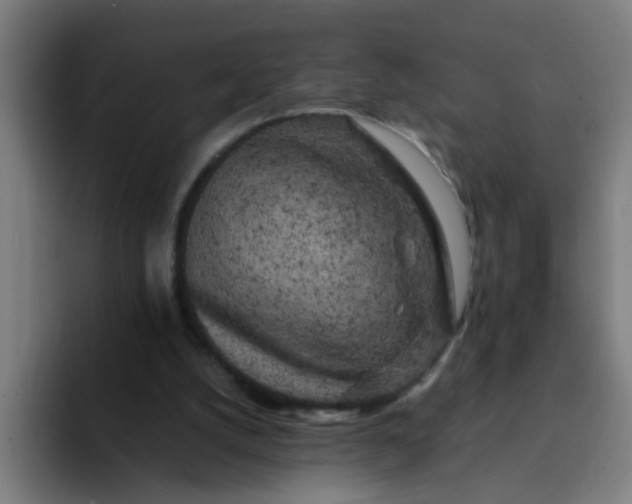 X0000094360056200711162059