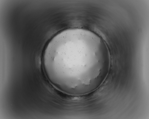 X0000094360059200711162059