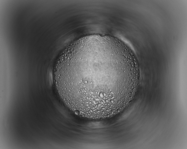 X0000094360061200711162059