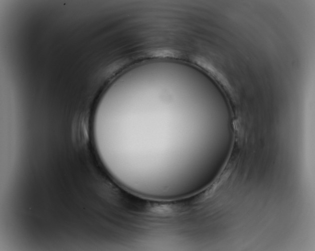 X0000094360062200711162059