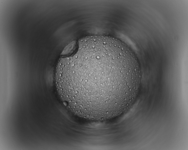 X0000094360065200711162059