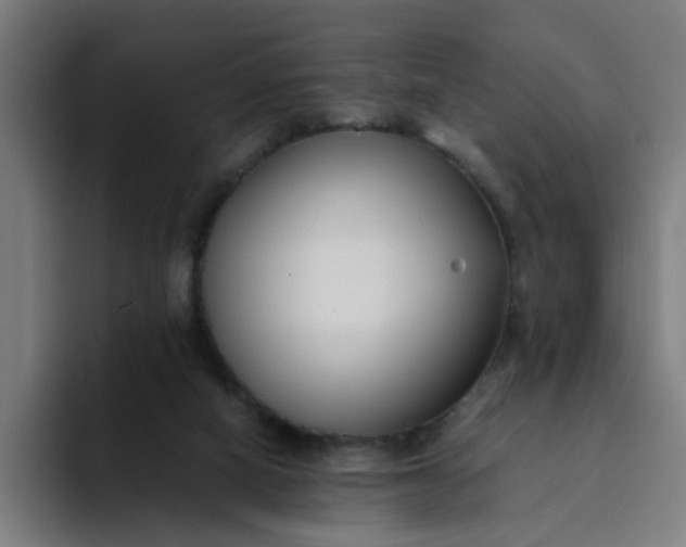 X0000094360066200711162059