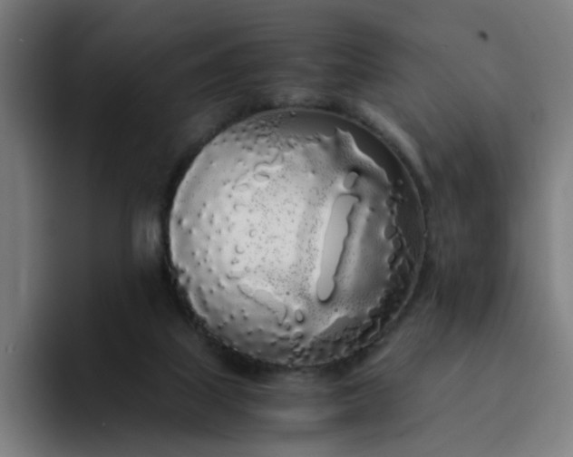 X0000094360067200711162059