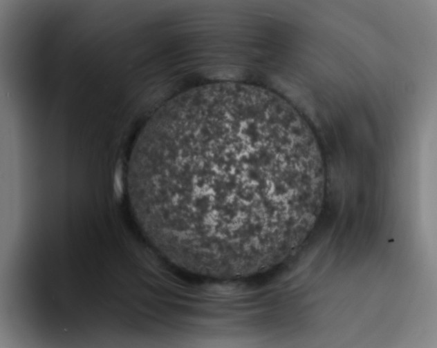 X0000094360069200711162059