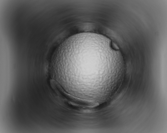 X0000094360073200711162059