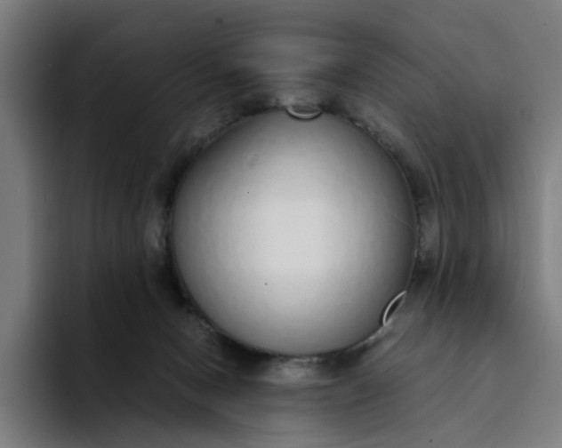 X0000094360078200711162059