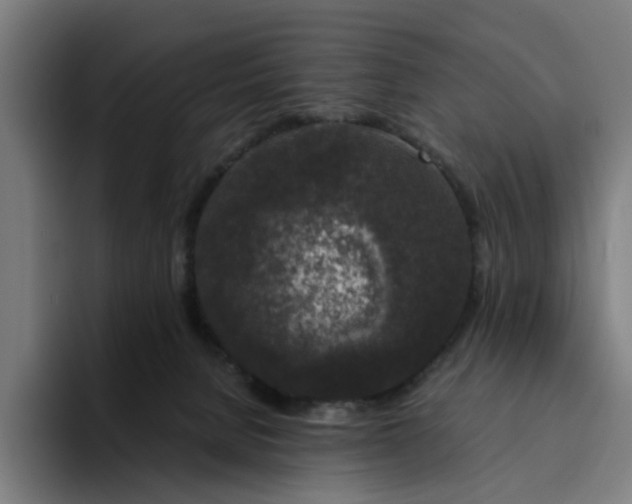 X0000094360080200711162059