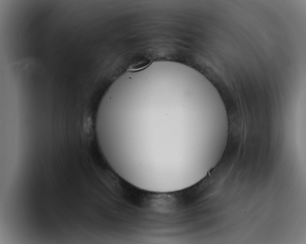 X0000094360087200711162059