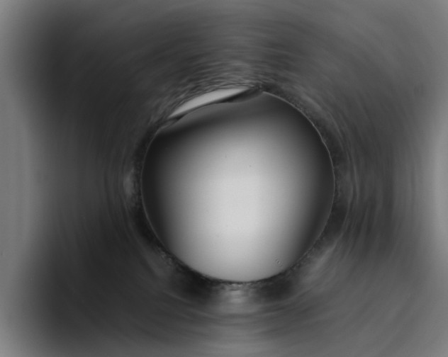 X0000094360088200711162059