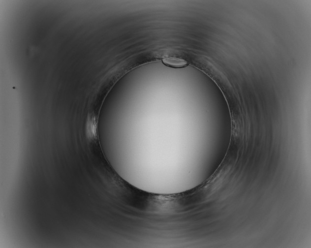 X0000094360095200711162059