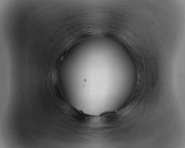 X0000094360096200711162059