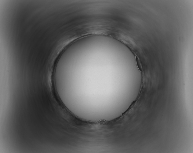 X0000094360098200711162058