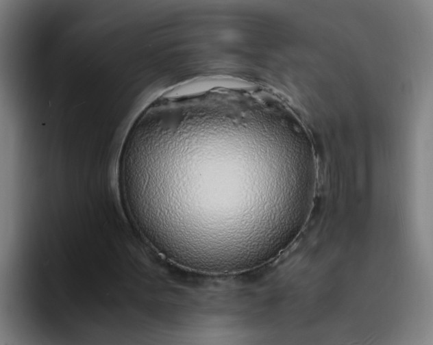 X0000094360099200711162058