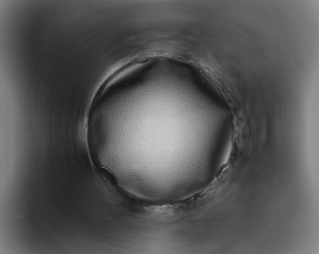 X0000094360100200711162058