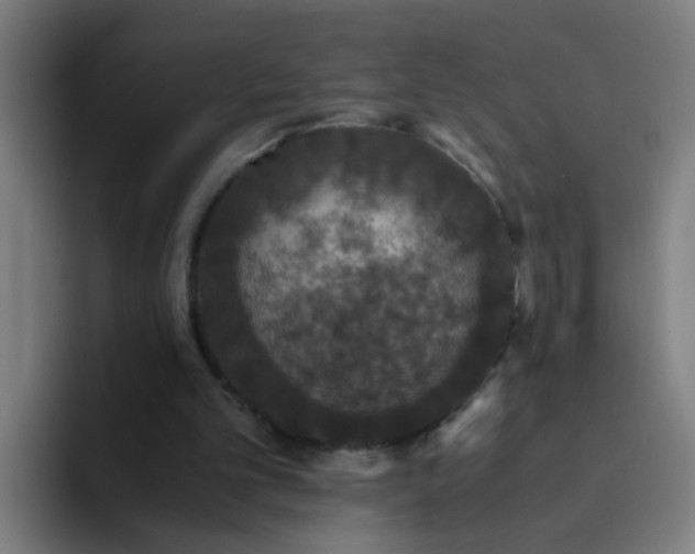 X0000094360101200711162058