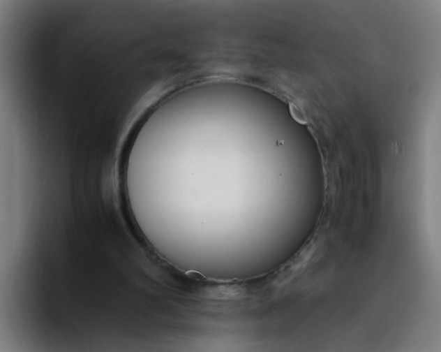 X0000094360102200711162058