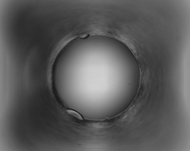 X0000094360103200711162058