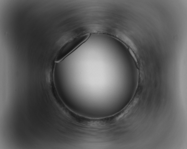 X0000094360105200711162058