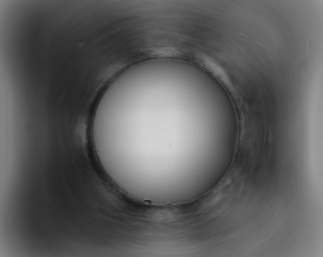 X0000094360106200711162058