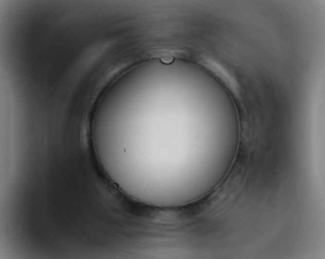 X0000094360107200711162058