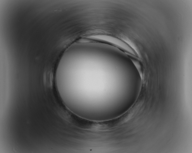 X0000094360109200711162058