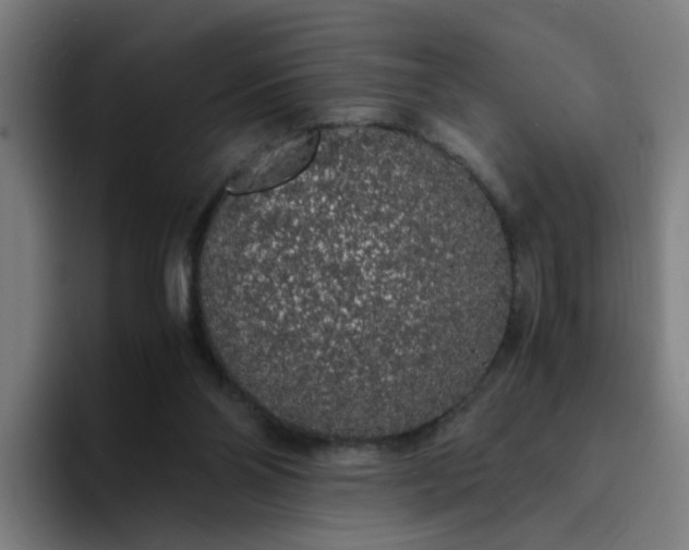 X0000094360110200711162058