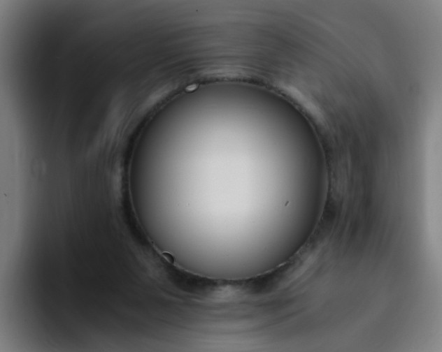 X0000094360111200711162058