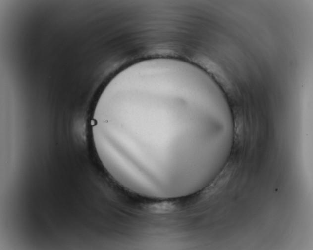 X0000094360112200711162058