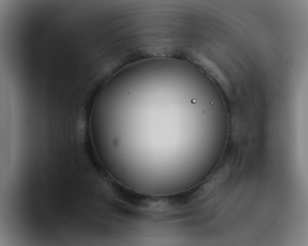 X0000094360113200711162058