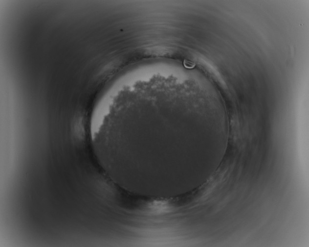 X0000094360114200711162058