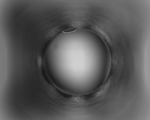 X0000094360117200711162058