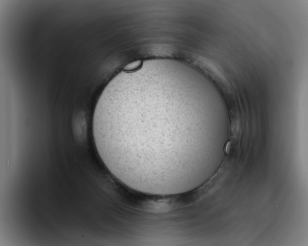 X0000094360120200711162058