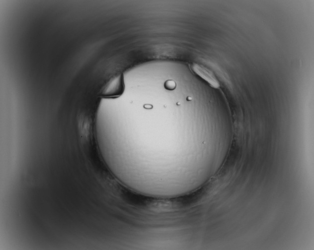 X0000094360123200711162058