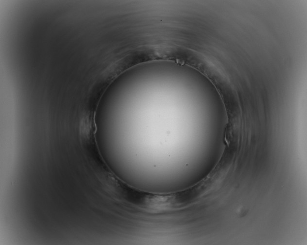 X0000094360129200711162058