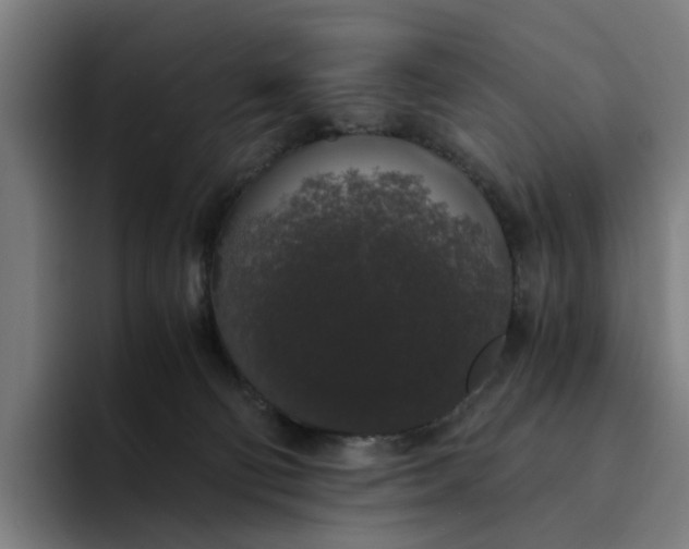 X0000094360130200711162058