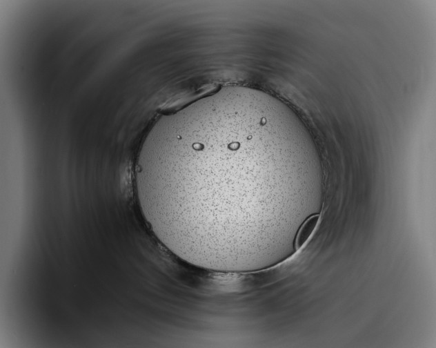 X0000094360144200711162058