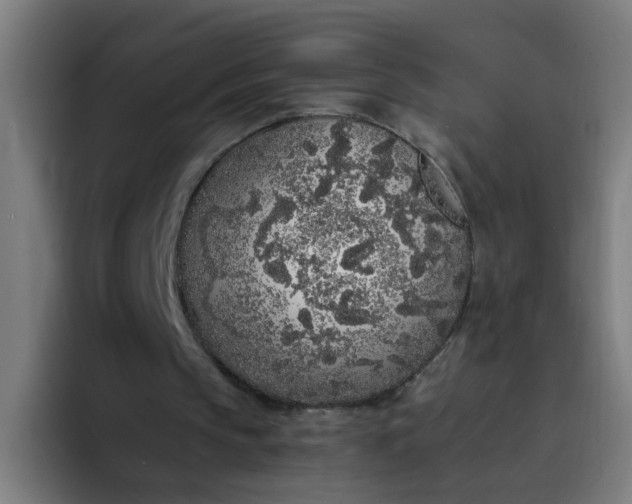 X0000094360145200711162057