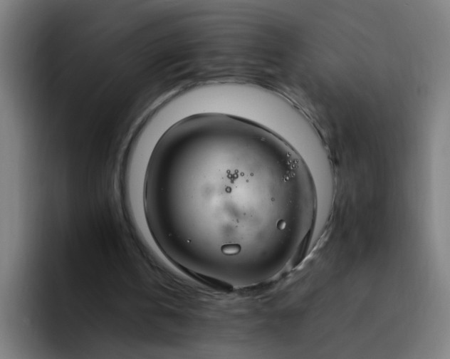 X0000094360146200711162057