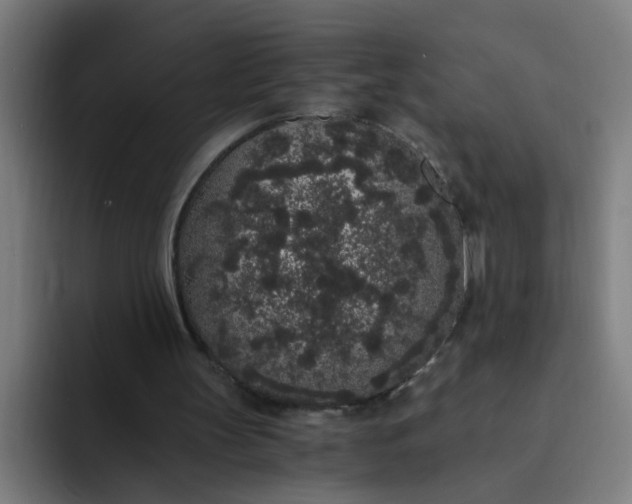 X0000094360147200711162057