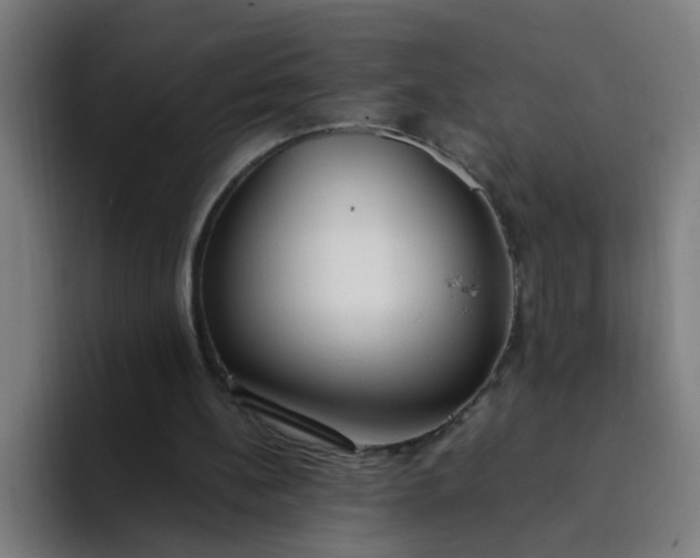 X0000094360148200711162057