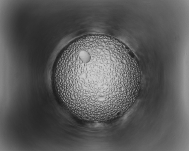 X0000094360151200711162057