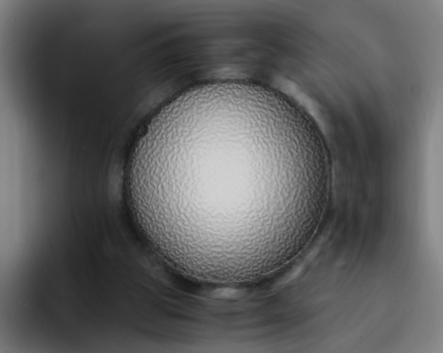 X0000094360153200711162057