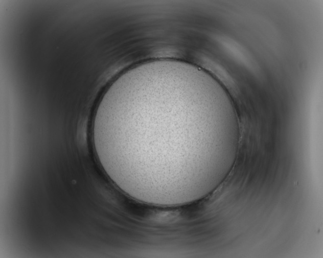 X0000094360155200711162057