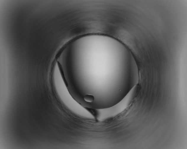 X0000094360156200711162057