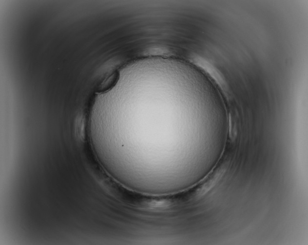 X0000094360157200711162057